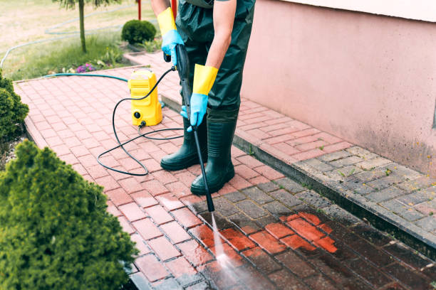 Best House Pressure Washing  in Fisher, IL