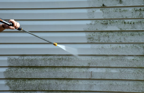 Best Affordable Power Washing  in Fisher, IL