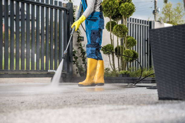 Best Concrete Pressure Washing  in Fisher, IL