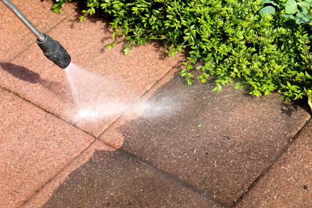 Best Residential Pressure Washing Services  in Fisher, IL